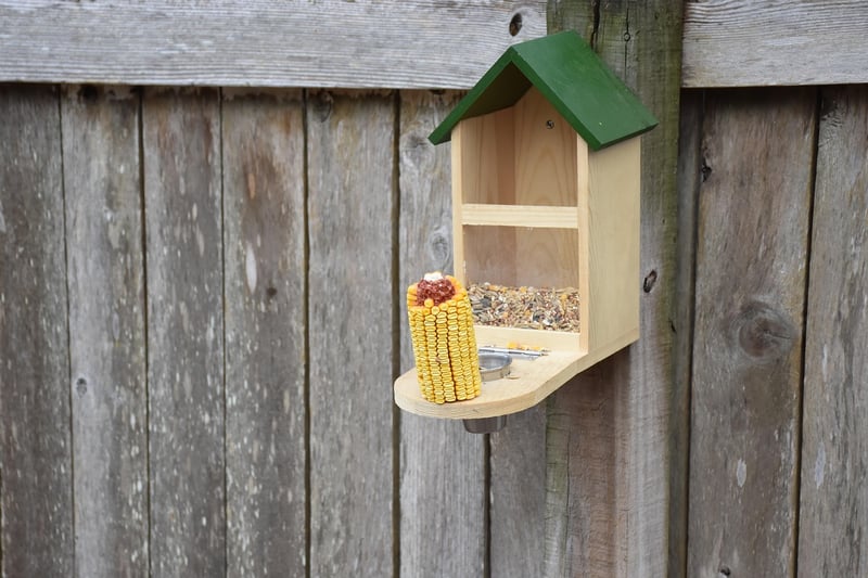Eco-Friendly Bird Feeders
